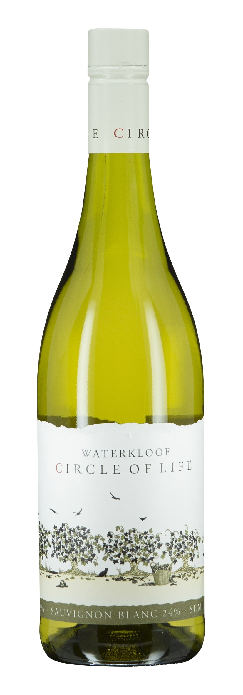 W.O. Stellenbosch Circle of Life White 2017