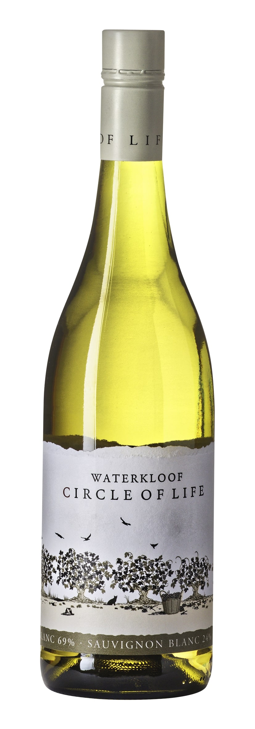 W.O. Stellenbosch Circle of Life White 2017