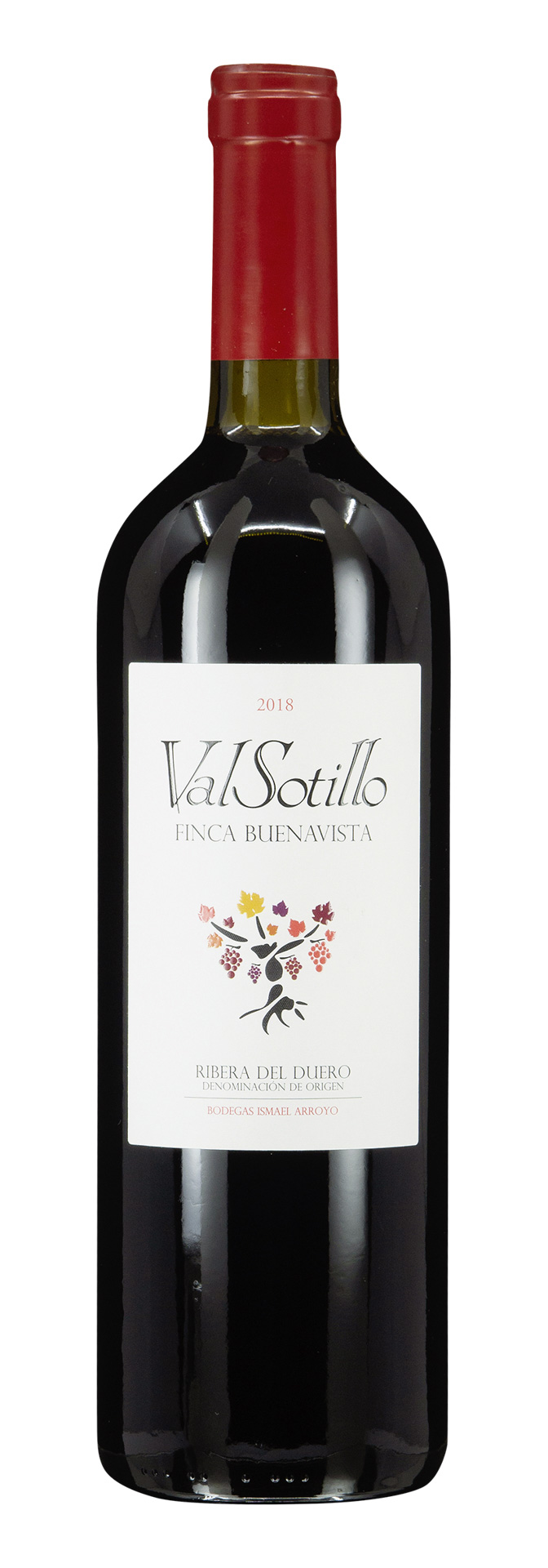Ribera del Duero DO Finca Buenavista 2018