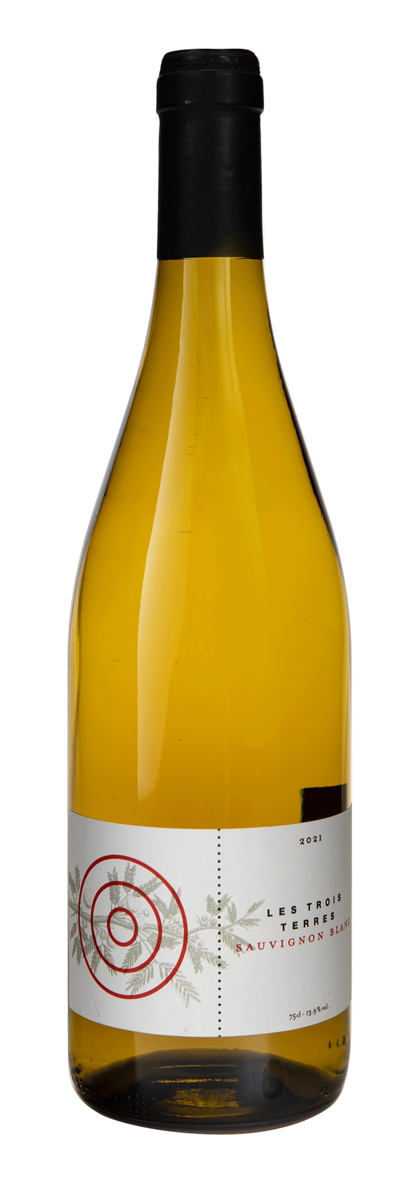 Sauvignon Blanc  2021