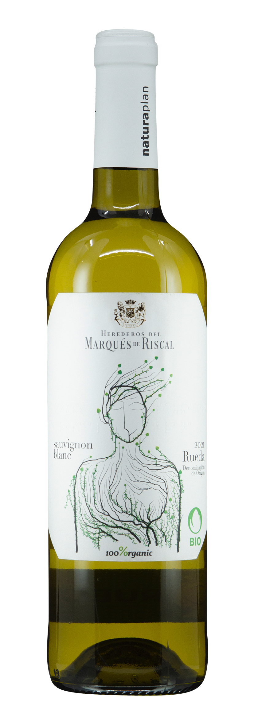 Rueda DO Sauvignon Blanc 2021