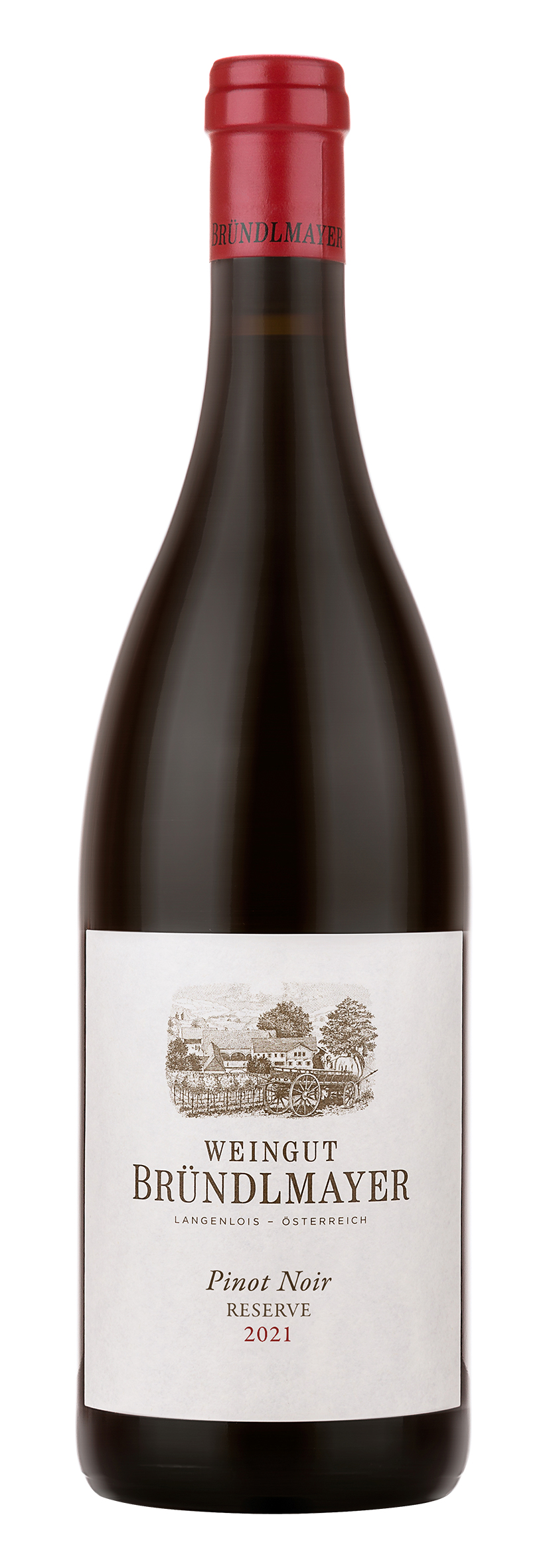 Niederösterreich Ried Käferberg Pinot Noir Reserve 2021