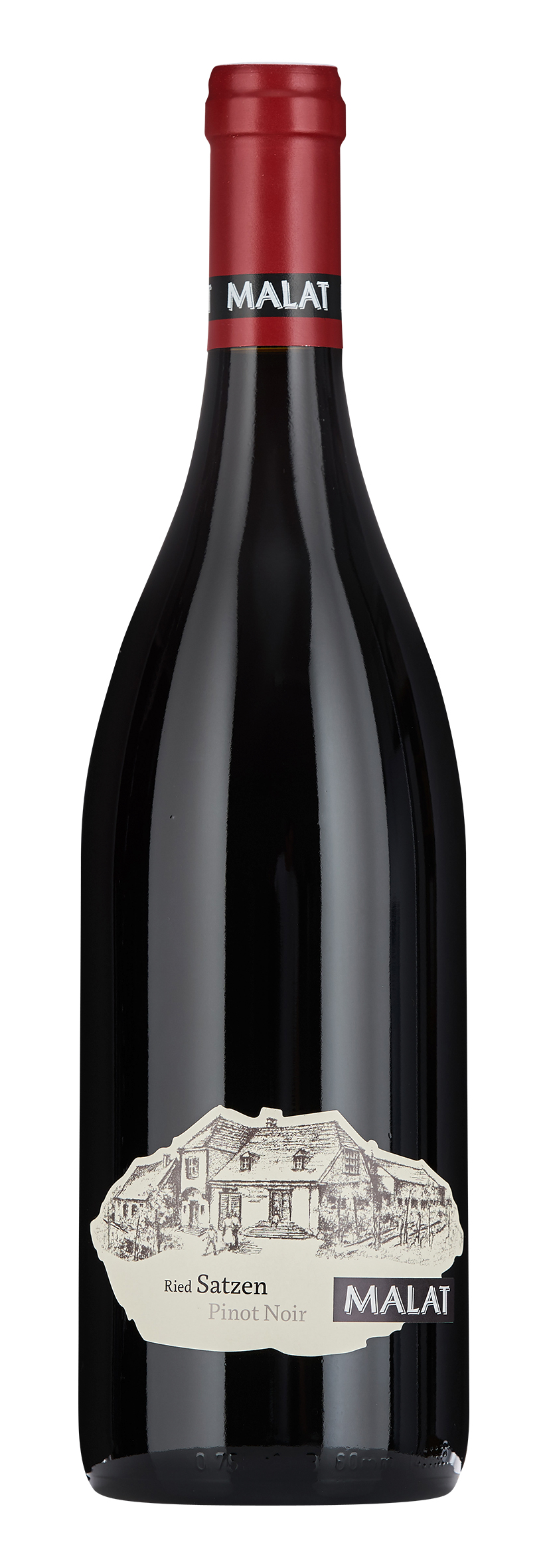 Niederösterreich Ried Palter Satzen Pinot Noir Reserve 2021