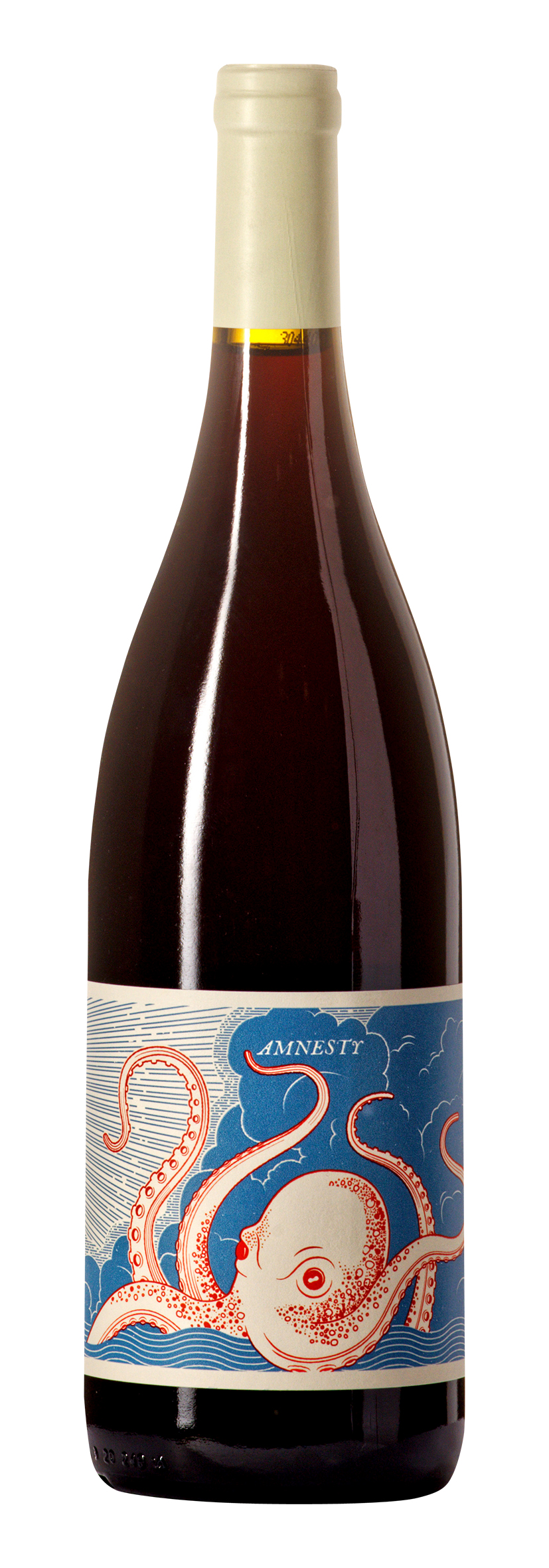 W.O. Western Cape Amnesty 2020