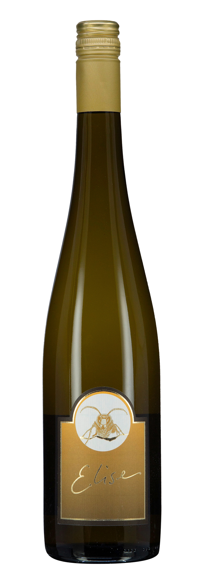 Aargau AOC Elise 2023