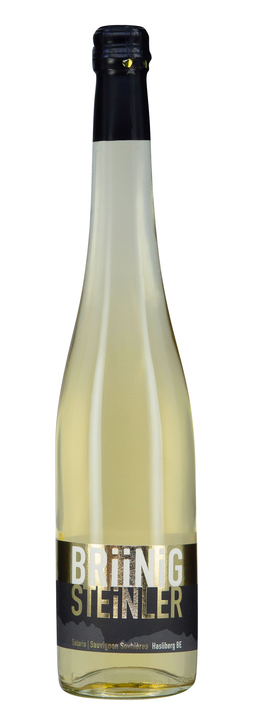 Briinigsteinler 2023