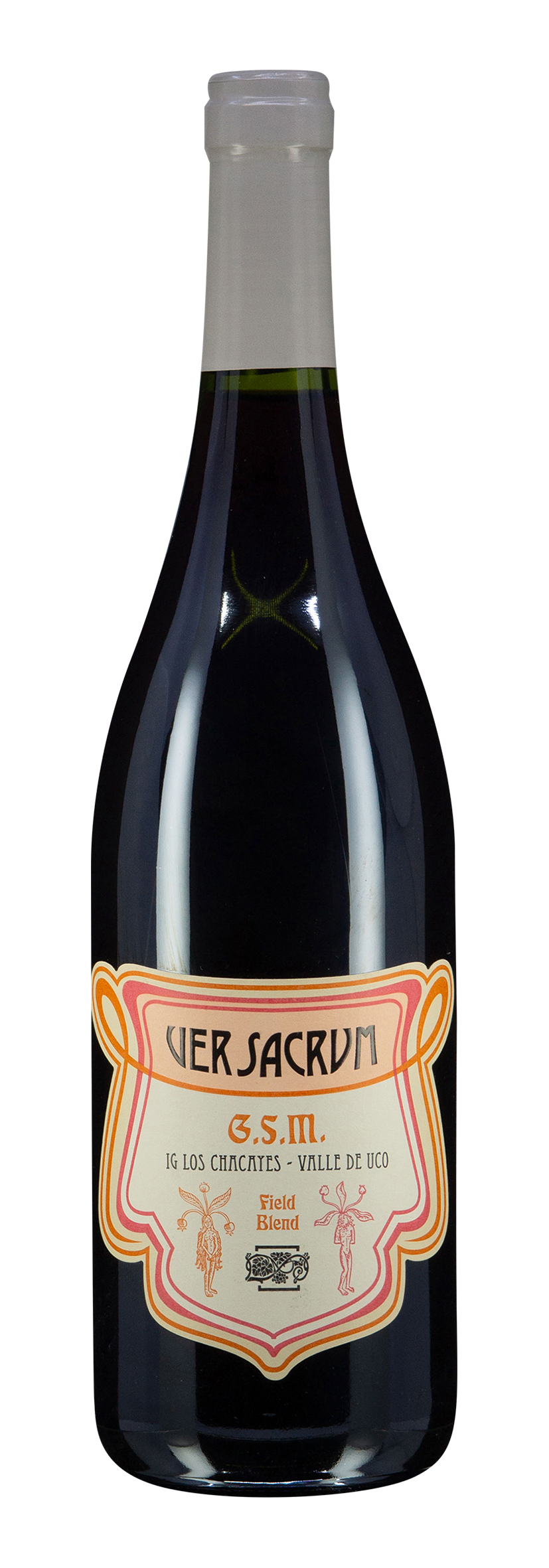 IG Los Chacayes G. S. M. Ver Sacrum 2020