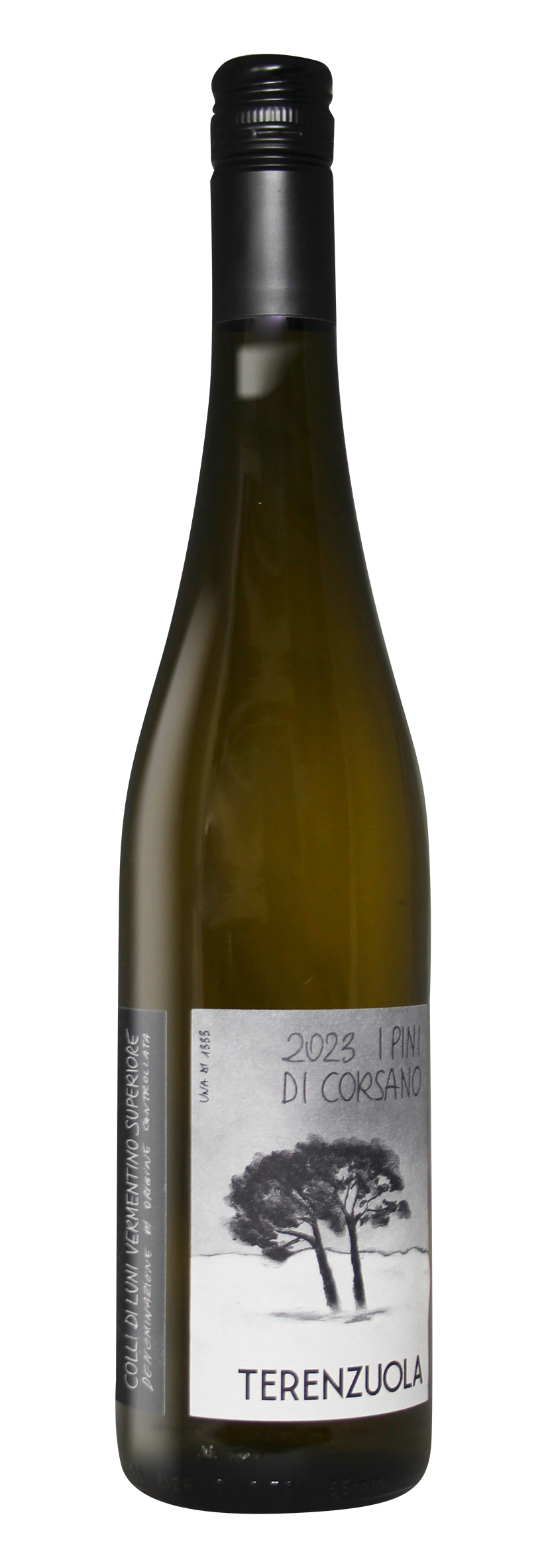 Colli di Luni DOC Vermentino Superiore I Pini di Corsano 2023