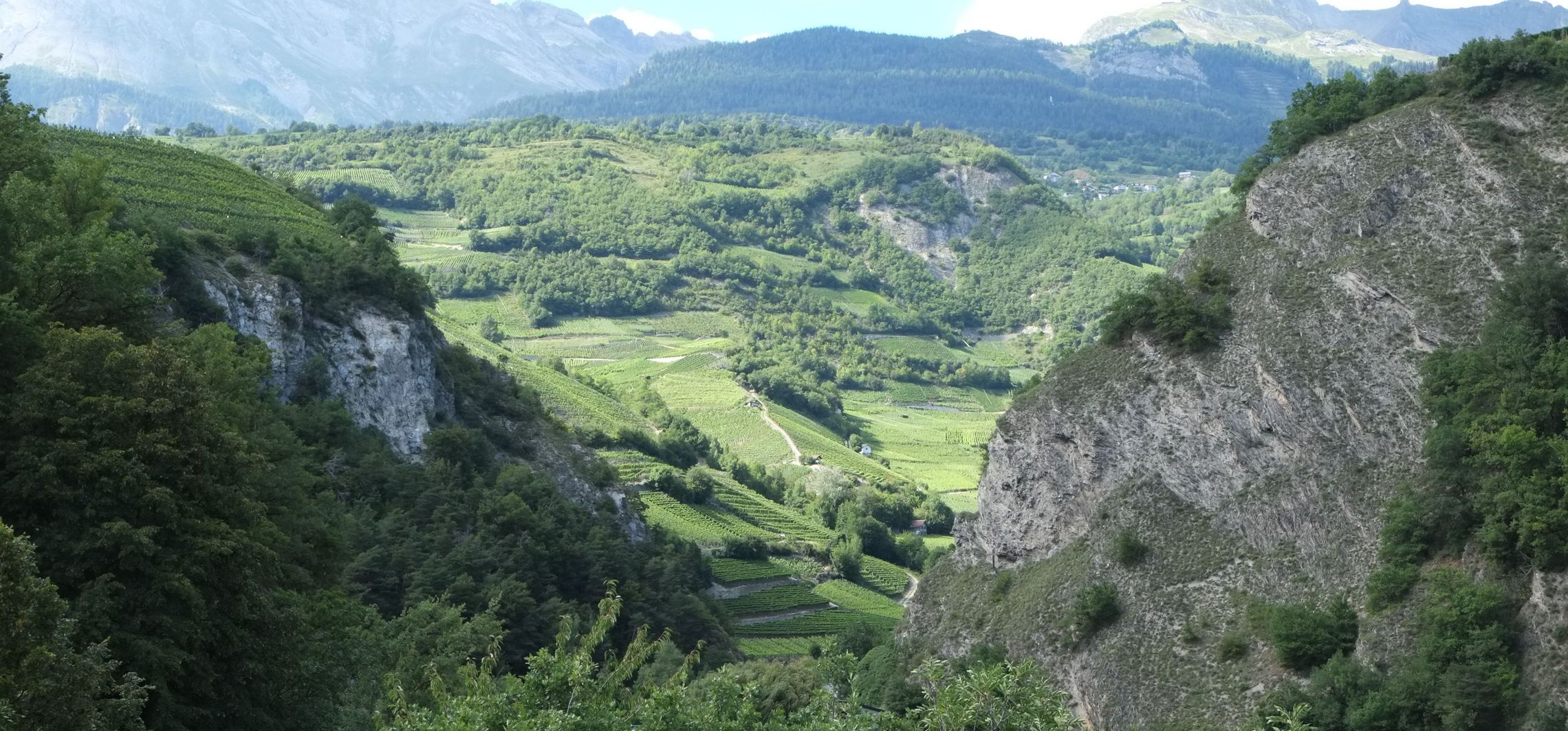 Weinregionen: Wallis