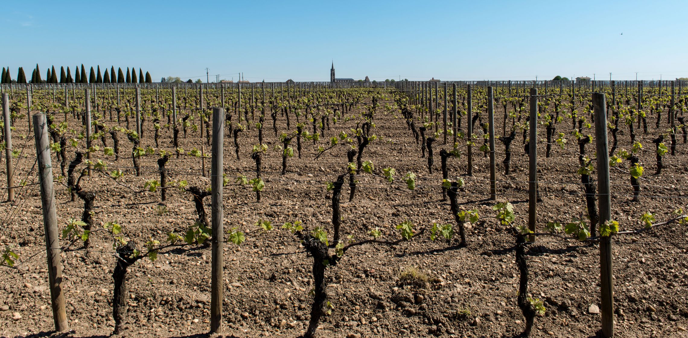 Bordeaux: Pomerol