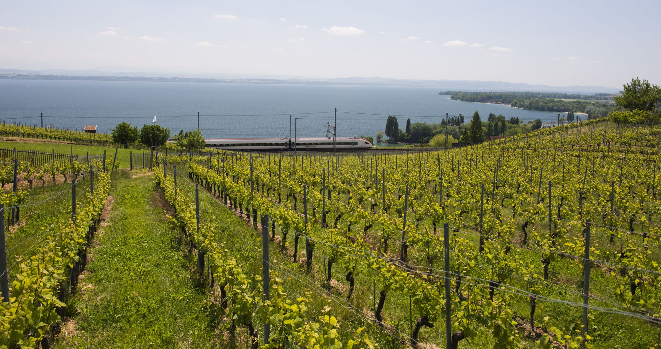 Weinregionen: Neuenburg