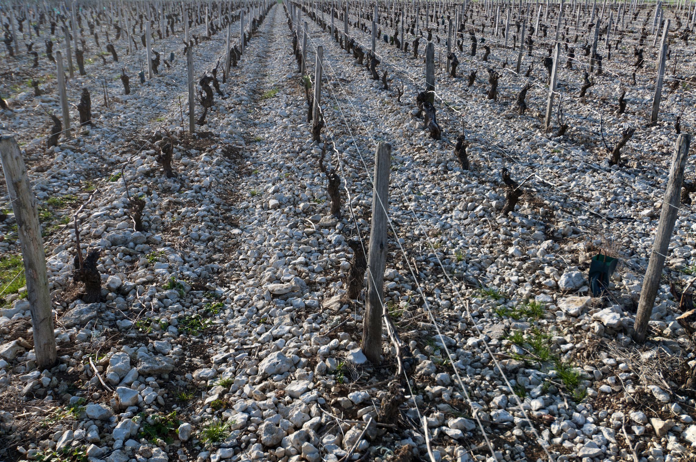 Loire: Sancerre - Terroir Blanche