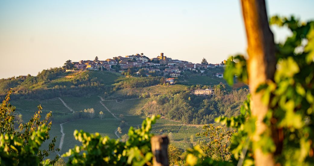 PRELI AG - Das Weingut im Piemont