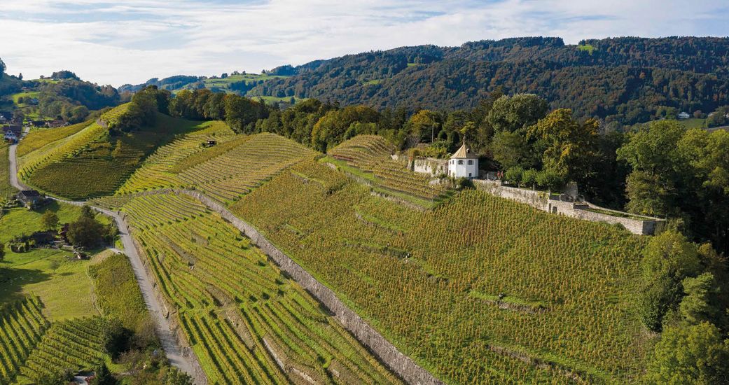 tobias wein.gut. / Tobias Schmid & Sohn Ag