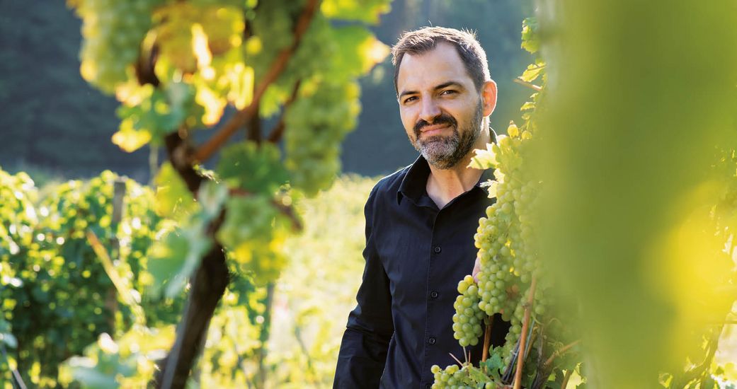 tobias wein.gut. / Tobias Schmid & Sohn Ag