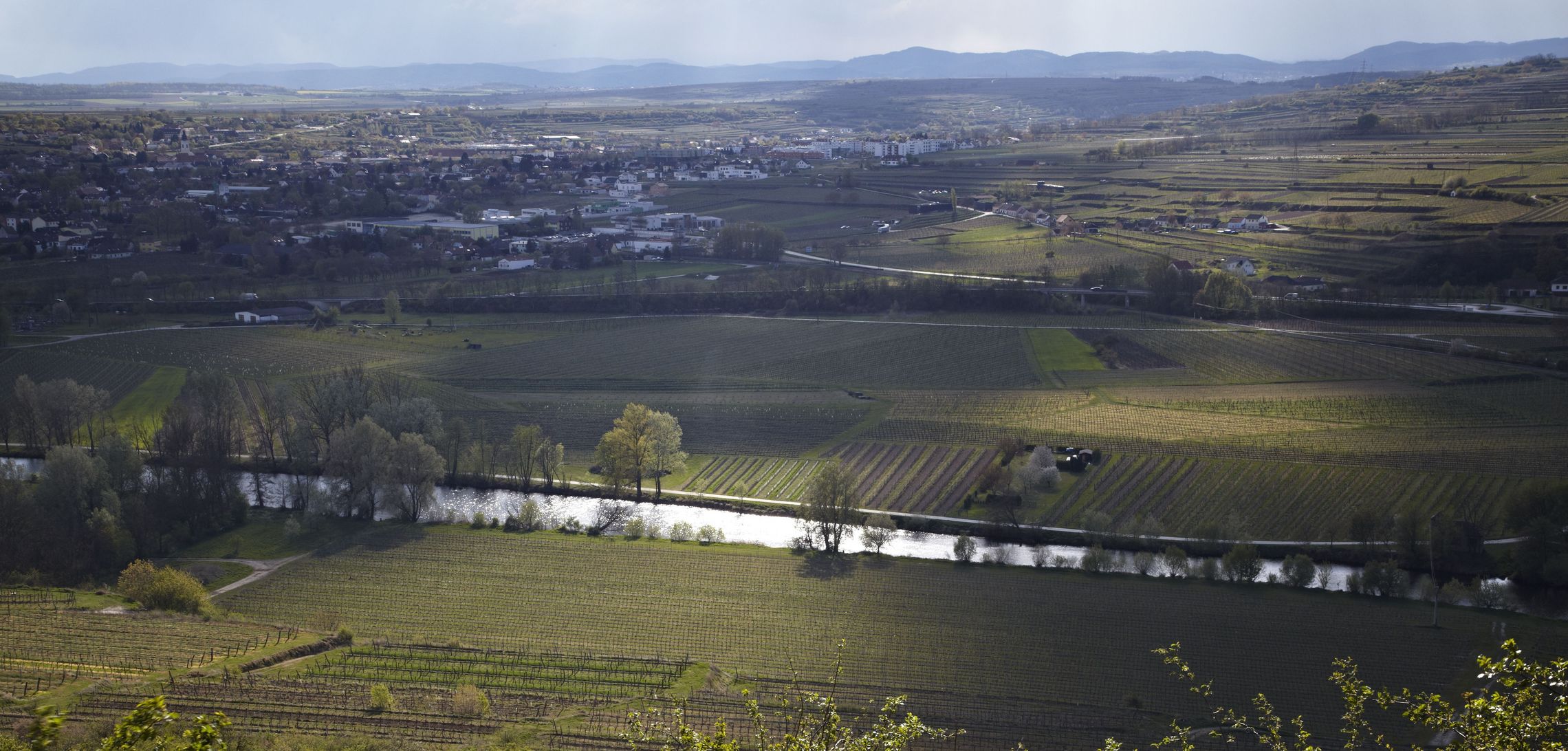 Weinregionen: Österreich