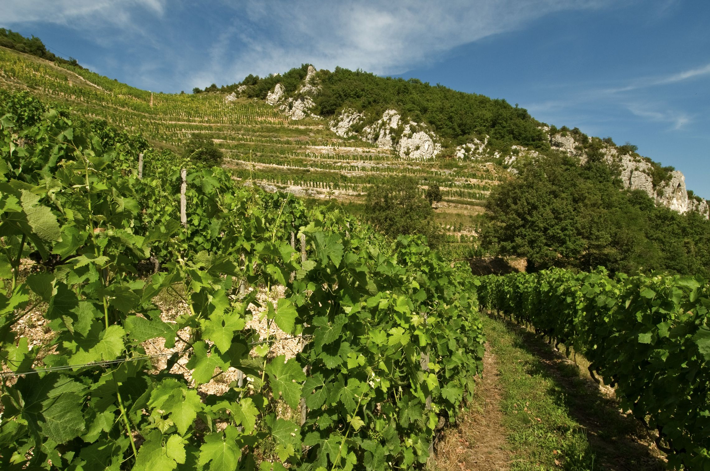 Frankreich: Rhône