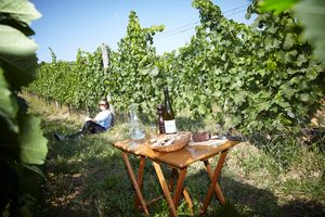 Buschenschank Buschenschank