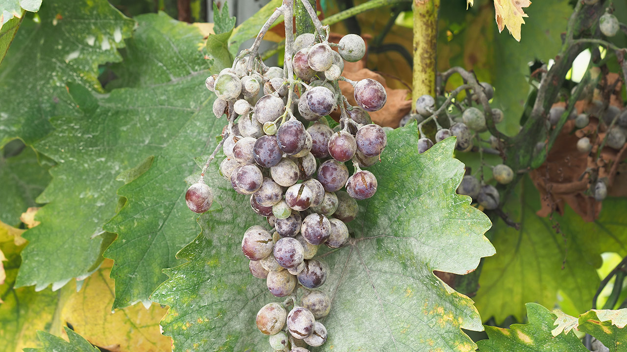 Photo: gettyimages/emilio100 