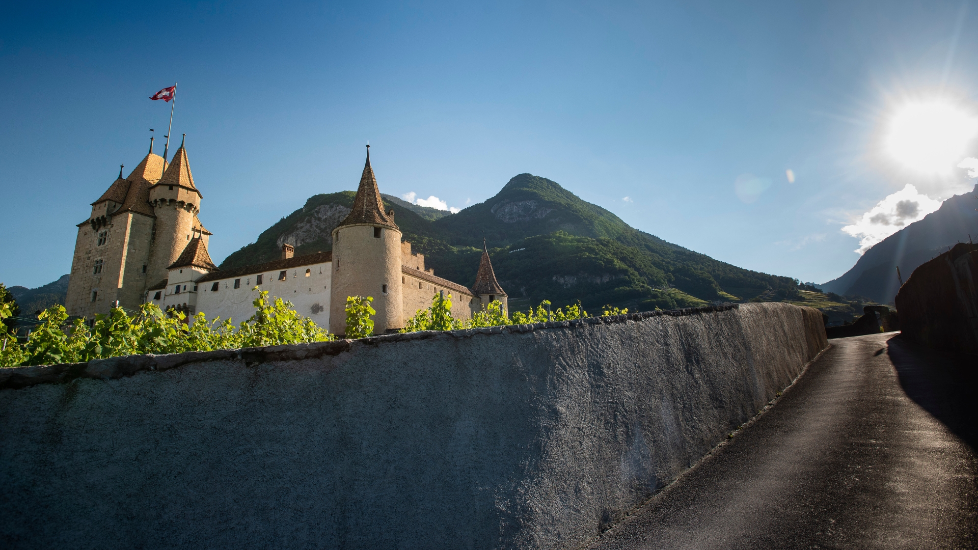 Ville du Goût 2025, Aigle va clôturer son programme annuel par la célébration de la Journée Mondiale du Chasselas (photo Siffert/weinweltfoto.ch) Ville du Goût 2025, Aigle va clôturer son programme annuel par la célébration de la Journée Mondiale du Chasselas (photo Siffert/weinweltfoto.ch)