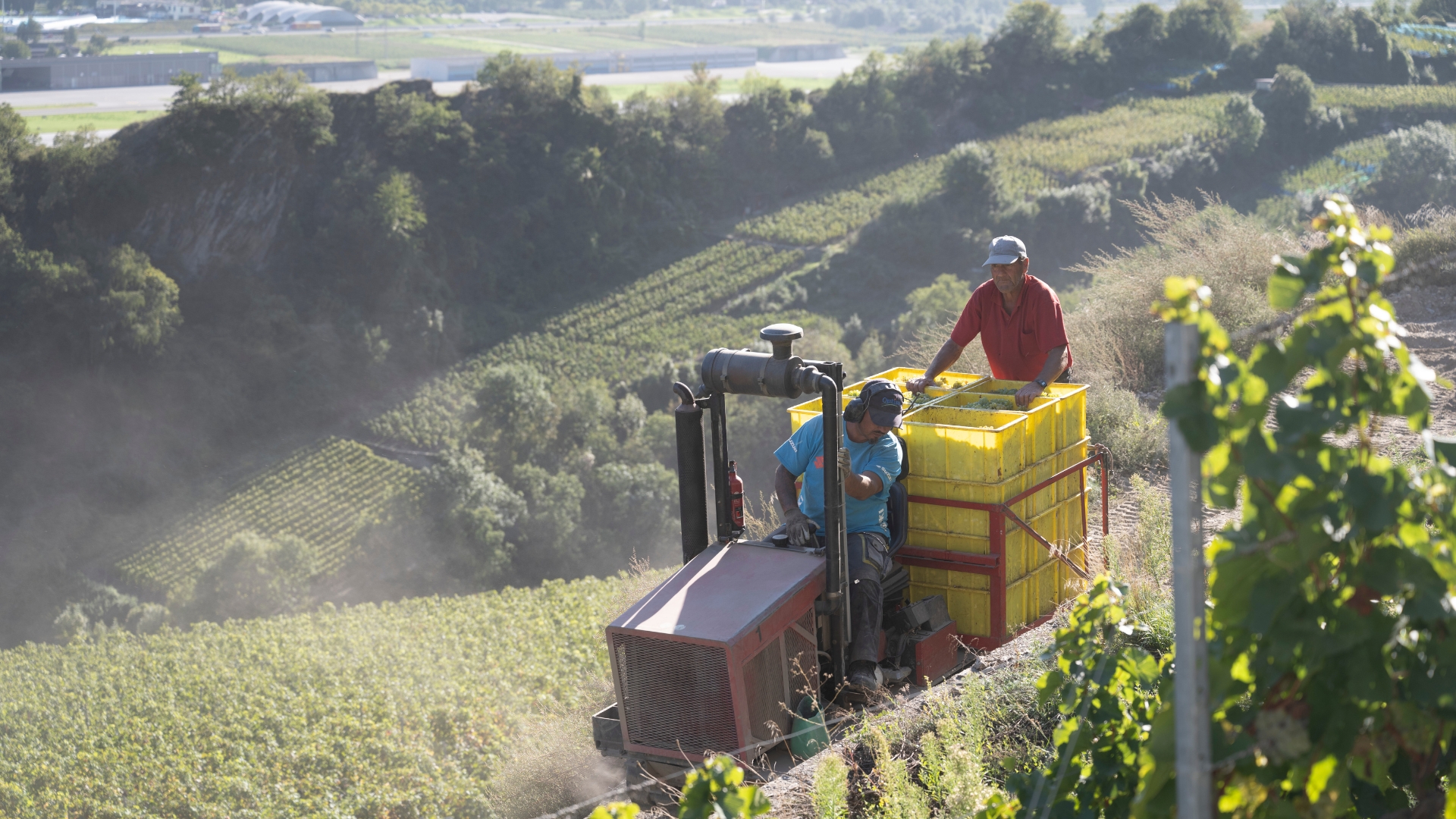 Les vignerons ont de plus en plus d'outils innovants à leur disposition (photo d'illustration: weinweltfoto.ch / Siffert)