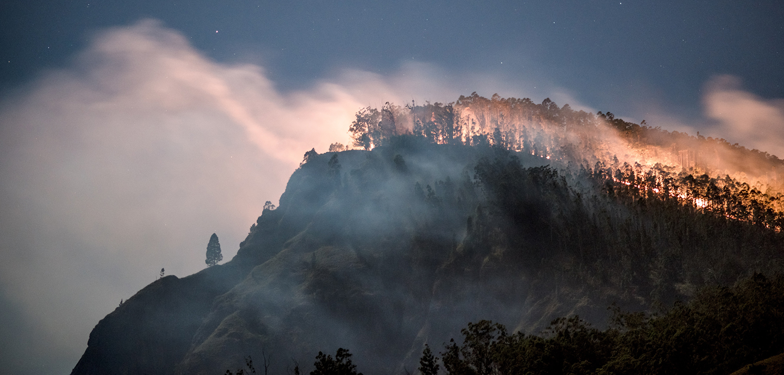 Buschfeuer in Australien