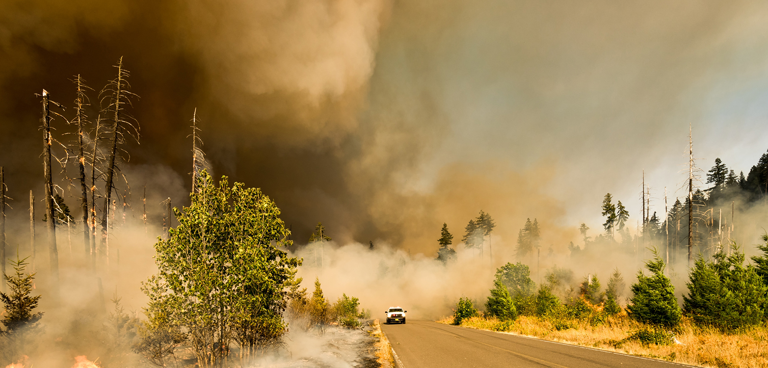 Buschfeuer in Australien