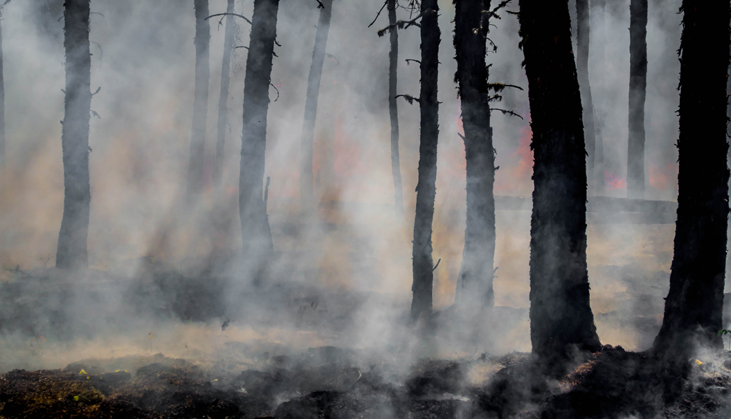 Buschfeuer in Australien